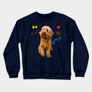 Doggy math with cute Cavoodle, Cavapoo, Cavalier King Charles Spaniel Crewneck Sweatshirt